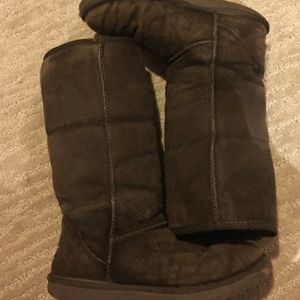 Chocolate Brown Uggs